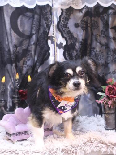 20231031レオくん